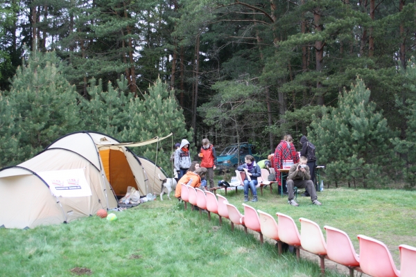 II-asis Pagonijos festivalis (2011)