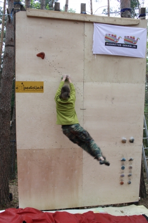 II-asis Pagonijos festivalis (2011)