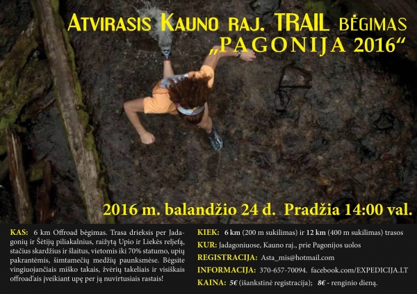 VI-asis Pagonijos festivalis (2016)