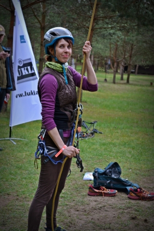 VI-asis Pagonijos festivalis (2016)