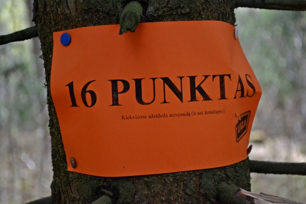 VI-asis Pagonijos festivalis (2016)