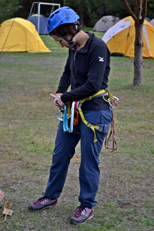 VI-asis Pagonijos festivalis (2016)